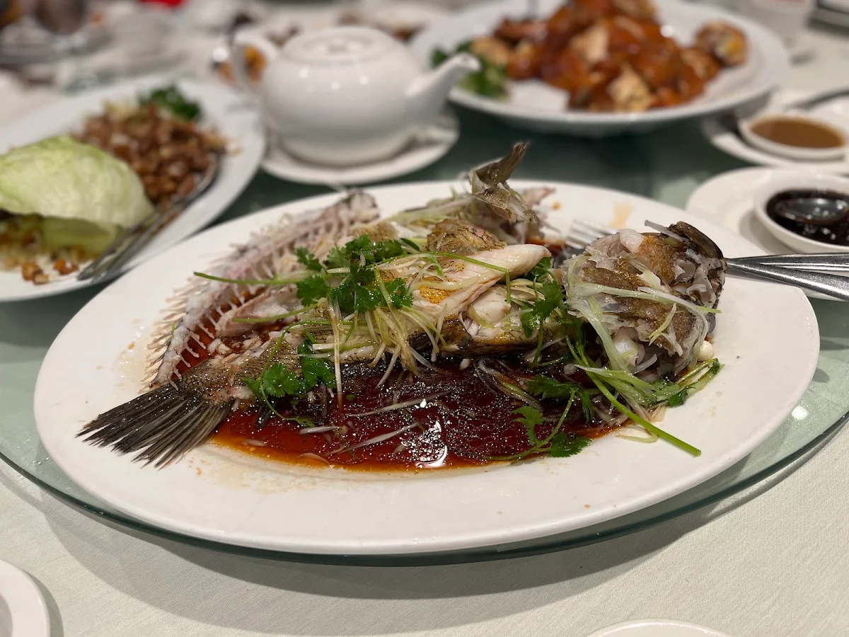 black cod with chopped ginger 薑米煎封銀鱈魚